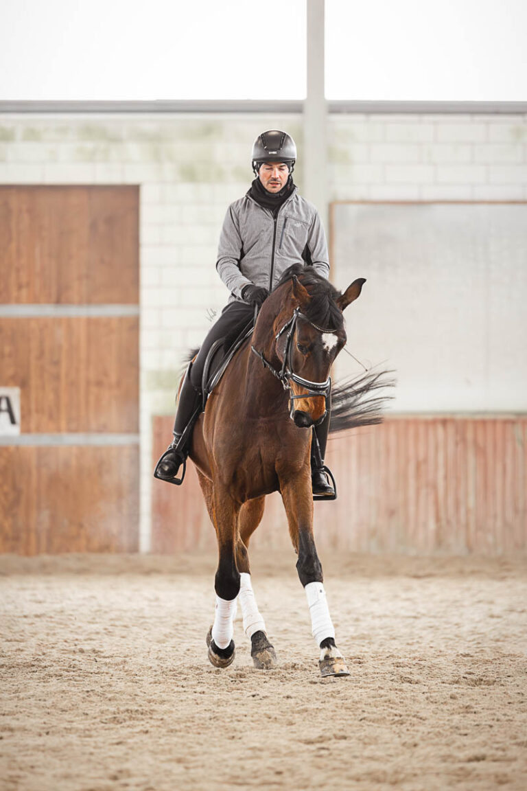 Horse Quantum Kapi Equi Center